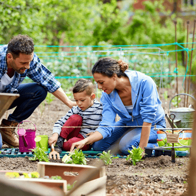 Simple Spring Gardening Ideas for Kids: Planting & Growing Fun Together