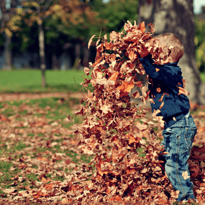 Top 7 Outdoor Toddler Activities for Crisp Autumn Days