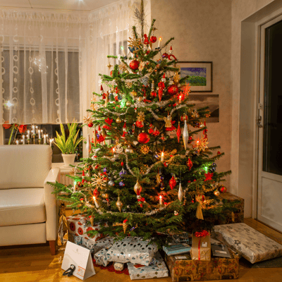 25 Days of Christmas Activities for Families