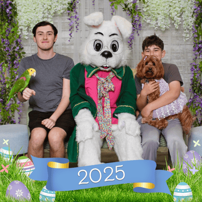 Purr-fect Pet Parties: Highlights from 2025