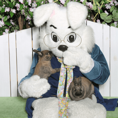 How to Prepare Your Pets for Easter Bunny Photos
