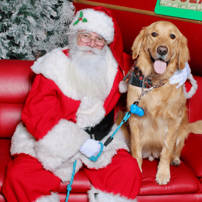 2024 Seasons Favorites: Pet Party Photos with Santa