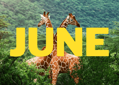 June Holidays to Celebrate with the Whole Family