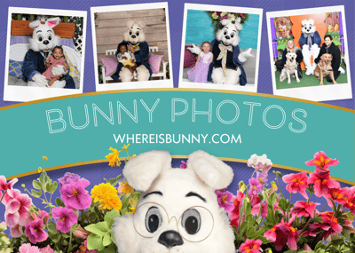 Show Me the Bunny; A Guide To Booking Your Bunny Visit